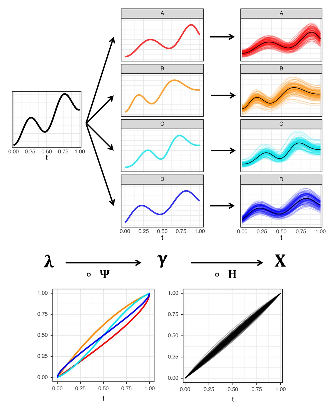 A latent deformation model that builds multivariate functional data from a shared latent process, warping each component onto its own time scale before producing the observed curves